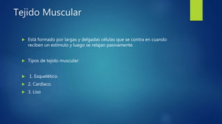 Tejido Muscular
 Está formado por largas y delgadas células que se contra en cuando
reciben un estímulo y luego se relajan pasivamente.
 Tipos de tejido muscular:
 1. Esquelético.
 2. Cardiaco.
 3. Liso
 