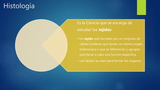 Histología
Es la Ciencia que se encarga de
estudiar los tejidos
• Un tejido está formado por un conjunto de
células similares que tienen un mismo origen
embrionario y que se diferencian y agrupan
para llevar a cabo una función específica.
• Los tejidos se unen para formar los órganos.
 