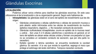 Glándulas Exocrinas
 