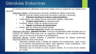 Glándulas Endocrinas
 