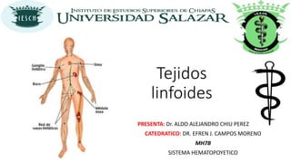 Tejidos
linfoides
PRESENTA: Dr. ALDO ALEJANDRO CHIU PEREZ
CATEDRATICO: DR. EFREN J. CAMPOS MORENO
MH7B
SISTEMA HEMATOPOYETICO
 