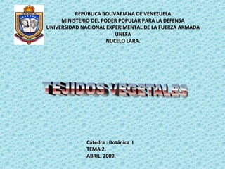 REPÚBLICA BOLIVARIANA DE VENEZUELAREPÚBLICA BOLIVARIANA DE VENEZUELA
MINISTERIO DEL PODER POPULAR PARA LA DEFENSAMINISTERIO DEL PODER POPULAR PARA LA DEFENSA
UNIVERSIDAD NACIONAL EXPERIMENTAL DE LA FUERZA ARMADAUNIVERSIDAD NACIONAL EXPERIMENTAL DE LA FUERZA ARMADA
UNEFAUNEFA
NUCELO LARA.NUCELO LARA.
Cátedra : Botánica ICátedra : Botánica I
TEMA 2.TEMA 2.
ABRIL, 2009.ABRIL, 2009.
 