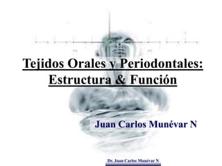 Dr. Juan Carlos Munévar N
Tejidos Orales y Periodontales:
Estructura & Función
Juan Carlos Munévar N
 