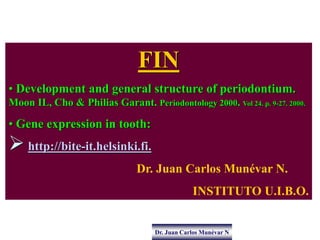Dr. Juan Carlos Munévar N
FIN
• Development and general structure of periodontium.
Moon IL, Cho & Philias Garant. Periodon...