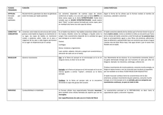 Comprehensive Overview of Primary Human Tissues: Types, Functions, and ...