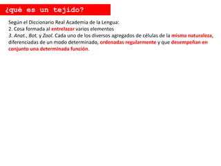 Según el Diccionario Real Academia de la Lengua:
2. Cosa formada al entrelazar varios elementos
3. Anat., Bot. y Zool. Cada uno de los diversos agregados de células de la misma naturaleza,
diferenciadas de un modo determinado, ordenadas regularmente y que desempeñan en
conjunto una determinada función.
¿qué es un tejido?
 
