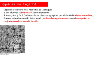 Según el Diccionario Real Academia de la Lengua:
2. Cosa formada al entrelazar varios elementos
3. Anat., Bot. y Zool. Cada uno de los diversos agregados de células de la misma naturaleza,
diferenciadas de un modo determinado, ordenadas regularmente y que desempeñan en
conjunto una determinada función.
¿qué es un tejido?
E. P. Vicenzi / Smithsonian's Museum Conservation Institute
NIST / Handout / Reuters
 