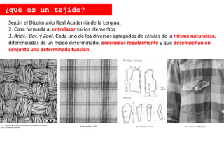 Enrique Ramos L. 2016 Sergi Ballester en Flickr
Según el Diccionario Real Academia de la Lengua:
2. Cosa formada al entrelazar varios elementos
3. Anat., Bot. y Zool. Cada uno de los diversos agregados de células de la misma naturaleza,
diferenciadas de un modo determinado, ordenadas regularmente y que desempeñan en
conjunto una determinada función.
¿qué es un tejido?
E. P. Vicenzi / Smithsonian's Museum Conservation Institute
NIST / Handout / Reuters Hero Images en 500px. 2012
 