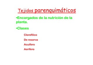 Tejidos parenquimáticos
•Encargados de la nutrición de la
planta.
•Clases
    Clorofílico
    De reserva
    Acuífero
    Aerífero
 