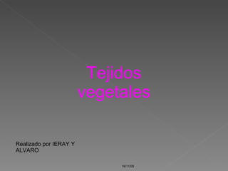16/11/09 Tejidos vegetales Realizado por IERAY Y ALVARO 