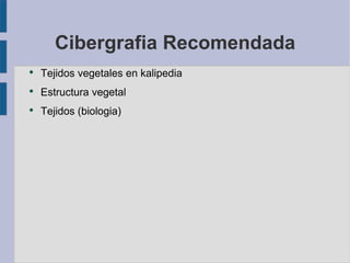 Cibergrafia Recomendada Tejidos vegetales en kalipedia Estructura vegetal Tejidos (biologia) 