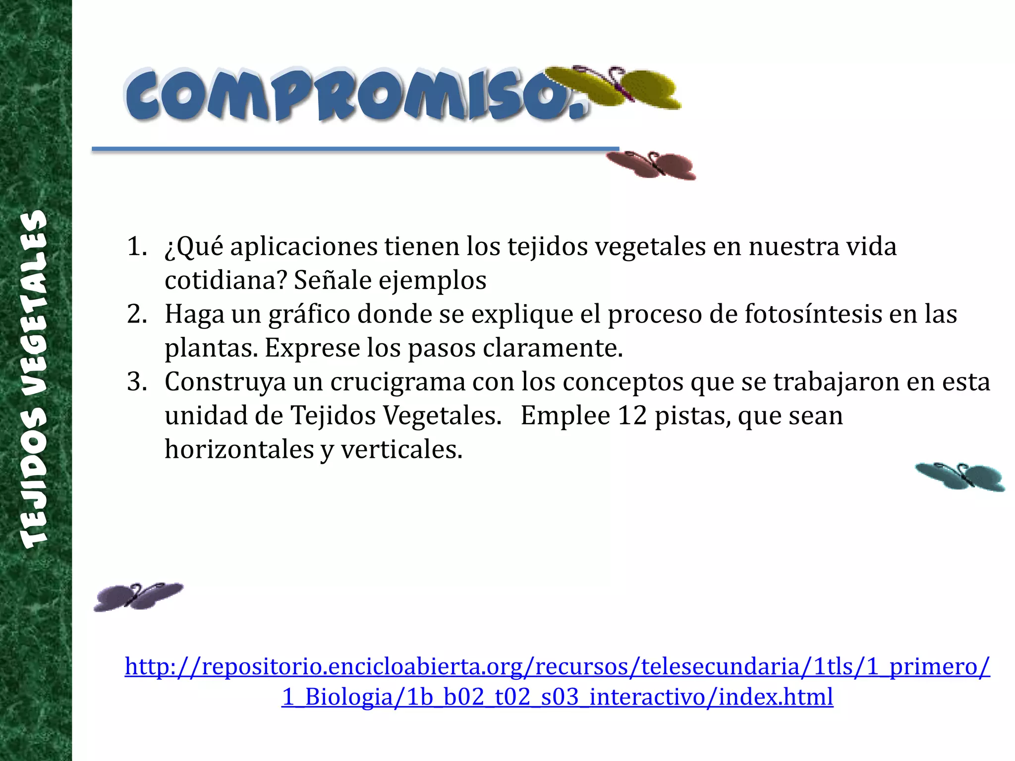  Almacenar sustancias como el almidón