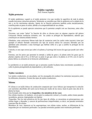 Tejidos vegetales
                                         Prof: Ernesto Argüello
Tejido protector

El tejido epidérmico vegetal es el tejido protector vivo que recubre la superficie de toda la planta
cuando ésta posee estructura primaria. Solamente se considera que falta la epidermis en la caliptra de la
raíz y en los meristemas apicales. Aparte de su función protectora también actúa mecánicamente,
contribuyendo en parte al sostén, debido a la compactabilidad de sus células.
En la epidermis se puede apreciar estructuras que le permiten cumplir con sus funciones, entre ellas
esta:
Tricomas, son como “pelos” la función de ellos es diversa pero en algunas especies del género
Urticaceae liberan sustancias irritantes, con las cuales se protegen de depredadores, además que
constituyen un sistema aislante térmico.
Glándulas: estas estructuras liberan todo tipo de sustancias entre las cuales están azucares como por
ejemplo el arbusto llamado cornizuelo (un tipo de acacia) utiliza los azucares liberados por las
glándulas para alimentar a unas hormigas que habitan sobre el y que a cambio lo protegen de los
depredadores.
Cutícula, es una capa cerosa que cubre a la planta y la protege del exceso de agua que puede caer sobre
ella.
Estomas, son los poros que permiten la entrada y salida de gases a la planta entre los gases que la
plantan expulsa está el O2 y el H2O por su parte el gas que entra a la planta es el CO 2 con el cual la
planta fabrica su alimento en la forma de carbohidratos.


La peridermis es un tejido protector que se presenta cuando la planta tiene crecimiento secundario, y
cubre la planta protegiéndola de depredadores y del ambiente.


Tejidos vasculares
Los tejidos conductores, en una planta, son los encargados de conducir los nutrientes necesarios entre
los diferentes elementos. Existen dos tipos de tejidos conductores:

Xilema

El xilema es un tejido leñoso de conducción compuesto por vasos leñosos que transportan la solución
con nutrientes absorbidos del suelo (savia bruta) por medio de las raíces, hasta la parte más alta de la
planta las hojas.
Esta formado entre otras por las traqueidas y los miembros de los vasos
Son células muertas a la madurez, sirven para la conducción vertical y el sostén, ambos tienen paredes
secundarias, gruesas, impregnadas con lignina:
Traqueidas. Son las más primitivas de los dos tipos de células, se encuentran en gimnospermas; son
células largas y ahusadas, y carecen de perforaciones (imperforadas), es decir, sus paredes terminales
conectan filas de células.
Miembros de vaso. Aparecen en las angiospermas; son células cortas, anchas, se diferencian de las
traqueidas por ser elementos perforados: sus paredes terminales pueden estar totalmente perforadas
 