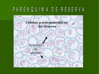 PARÉN Q U IM A D E RESERVA
 