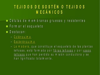 TEJI D O S D E SO STÉN O TEJI D O S
                     M ECÁN ICO S
   C é lu la s d e m e m b r a n a s g r u e s a s y r e s is t e n t e s
   F o r m a r e l e s q u e le t o
   D e sta ca n :
     –   C o lé n q u im a
     –   E s c le r é n q u im a
     –   L a m a d e r a , q u e c o n s t it u y e e l e s q u e le t o d e la s p la n t a s
         le ñ o s a s , e s t á f o r m a d a p o r f ib r a s le ñ o s a s y p o r v a s o s
         le ñ o s o s q u e h a n p e r d id o s u m is ió n c o n d u c t o r a y s e
         h a n lig n if ic a d o t o t a lm e n t e .
 