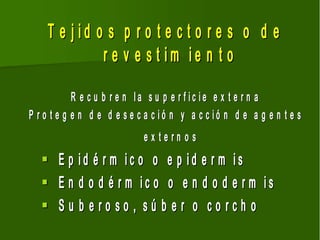 T e jid o s p r o t e c t o r e s o d e
             r e v e s t im ie n t o

            R e c u b r e n la s u p e r f ic ie e x t e r n a
P r o t e g e n d e d e s e c a c ió n y a c c ió n d e a g e n t e s
                             ex tern os
      E p id é r m ic o o e p id e r m is
      E n d o d é r m ic o o e n d o d e r m is
      Su b eroso, sú b er o corch o
 