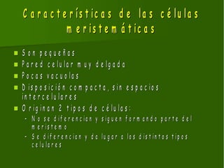 C a r a c t e r ís t ic a s d e la s c é lu la s
                 m e r is t e m á t ic a s
   S on pequeñas
   P a r e d c e lu la r m u y d e lg a d a
   P o c a s v a c u o la s
   D is p o s ic ió n c o m p a c t a , s in e s p a c io s
    in t e r c e lu la r e s
   O r ig in a n 2 t ip o s d e c é lu la s :
     – N o s e d if e r e n c ia n y s ig u e n f o r m a n d o p a r t e d e l
       m e r is t e m o
     – S e d if e r e n c ia n y d a lu g a r a lo s d is t in t o s t ip o s
       c e lu la r e s
 