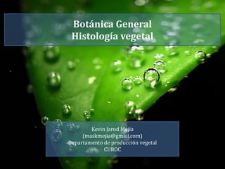 Botánica General
Histología vegetal
Kevin Jarod Mejía
(maskmejia@gmail.com)
Departamento de producción vegetal
CUROC
 