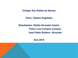 Colegio San Rafael de Atenas
Tema: Tejidos Vegetales
Estudiantes: Eladio Alvarado Castro
Pedro Luis Campos Campos
José Pablo Roblero Alvarado
Año 2014
 