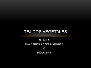 TEJIDOS VEGETALES 
ALUMNA 
ANA CARINA LOPEZ MARQUEZ 
3D 
BIOLOGIA I 
 