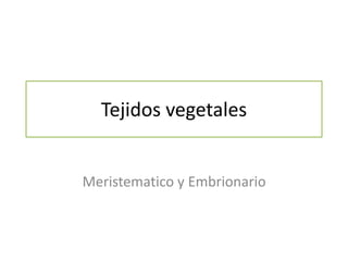 Tejidos vegetales
Meristematico y Embrionario
 