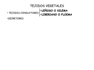 TEJIDOS VEGETALES
• TEJIDOS CONDUCTORES
•SECRETORES
 