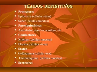 TEJIDOS DEFINITIVOSTEJIDOS DEFINITIVOS
 Protectores
 Epidermis (células vivas)
 Súber (células muertas)
 Parenquimáticos
 Asimilador, reserva, acuífero, etc.
 Conductores
 Xilemas (células muertas)Xilemas (células muertas)
 Floema (células vivas)Floema (células vivas)
 Sostén
 Colénquima (célula viva)Colénquima (célula viva)
 Esclerénquima (células muertas)Esclerénquima (células muertas)
 Secretores
 