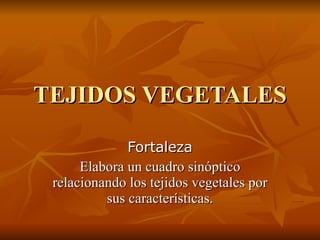 TEJIDOS VEGETALES Fortaleza Elabora un cuadro sinóptico relacionando los tejidos vegetales por sus características. 