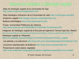Enlaces de Botánica e Histología vegetal Atlas de histología vegetal de la universidad de Vigo http://webs.uvigo.es/mmegia...