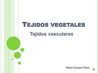 TEJIDOS VEGETALES
  Tejidos vasculares




                 María Fonseca Pérez
 