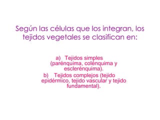 Según las células que los integran, los
  tejidos vegetales se clasifican en:

             a) Tejidos simples
           (parénquima, colénquima y
                esclerénquima).
        b) Tejidos complejos (tejido
       epidérmico, tejido vascular y tejido
                 fundamental).
 