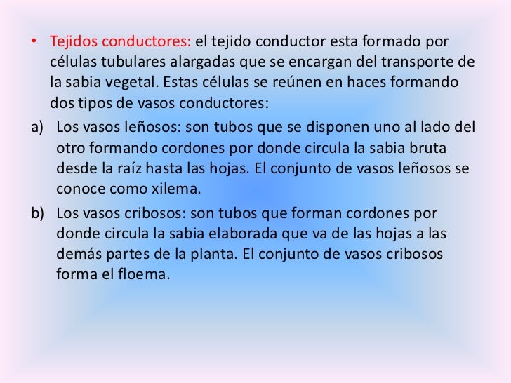 Tejidos Vegetales Y Animales