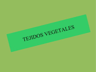 TEJIDOS VEGETALES 