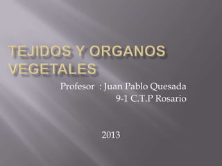 Profesor : Juan Pablo Quesada
9-1 C.T.P Rosario
2013
 