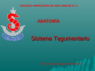 COLEGIO AMERICANO DE SAN CARLOS S. C.




       Sistema Tegumentario



            Q. B. A. Miguel Ángel Castro Ramírez
 