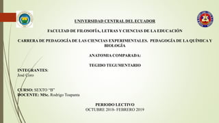 UNIVERSIDAD CENTRAL DEL ECUADOR
FACULTAD DE FILOSOFÍA, LETRAS Y CIENCIAS DE LA EDUCACIÓN
CARRERA DE PEDAGOGÍA DE LAS CIENCIAS EXPERIMENTALES. PEDAGOGÍA DE LA QUÍMICA Y
BIOLOGÍA
ANATOMIA COMPARADA:
TEGIDO TEGUMENTARIO
INTEGRANTES:
José Coro
CURSO: SEXTO “B”
DOCENTE: MSc. Rodrigo Toapanta
PERIODO LECTIVO
OCTUBRE 2018- FEBRERO 2019
 