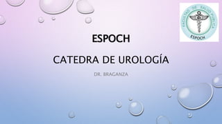 ESPOCH
CATEDRA DE UROLOGÍA
DR. BRAGANZA
 