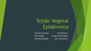 Tejido Vegetal
Epidérmico
- Francisco Cabezas - Emilio Rivera
- Piero Zúñiga - Guillermo Parraguez
- Sebastián Rudolph - Juan José Abarca