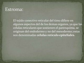 El tejido conectivo reticular del timo difiere en
algunos aspectos del de los demas organos, ya que las
celulas reticulares que sostienen el parenquima, se
originan del endodermo y no del mesodermo; estas
son denominadas celulas reticulo epiteliales.
 
