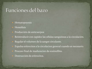 Hematopoyesis
Hemólisis
Producción de anticuerpos
Reintroducir con rapidez las células sanguíneas a la circulación.
Regular el volumen de la sangre circulante.
Expulsa eritrocitos a la circulacion general cuando es necesario.
Proceso final de maduracion de eosinofilos.
Destrucción de eritrocitos.
 