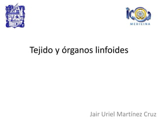Tejido y órganos linfoides
Jair Uriel Martínez Cruz
 