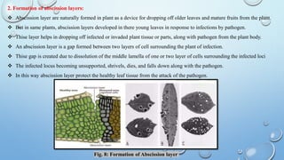 Defense mechanism in plants (Plant pathology and plant protection) | PDF
