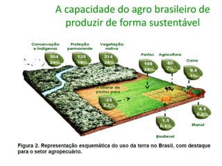 Os principais desafios da distribuição rural no agronegócio do futuro - Professor José Luiz Tejon (TCA)
