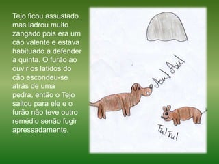 Tejo ficou assustado mas ladrou muito zangado pois era um cão valente e estava habituado a defender a quinta. O furão ao ouvir os latidos do cão escondeu-se atrás de uma pedra, então o Tejo saltou para ele e o furão não teve outro remédio senão fugir apressadamente.   