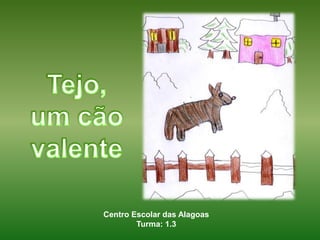 Tejo, um cão valente Centro Escolar das Alagoas Turma: 1.3 