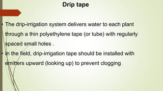Drip tape
• The drip-irrigation system delivers water to each plant
through a thin polyethylene tape (or tube) with regularly
spaced small holes .
• In the field, drip-irrigation tape should be installed with
emitters upward (looking up) to prevent clogging .
 