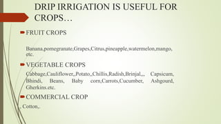 DRIP IRRIGATION IS USEFUL FOR
CROPS…
FRUIT CROPS
Banana,pomegranate,Grapes,Citrus,pineapple,watermelon,mango,
etc.
VEGETABLE CROPS
Cabbage,Cauliflower,,Potato,,Chillis,Radish,Brinjal,,, Capsicum,
Bhindi, Beans, Baby corn,Carrots,Cucumber, Ashgourd,
Gherkins.etc.
COMMERCIAL CROP
, Cotton,.
 