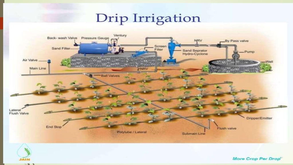 ppt on drip irrigation