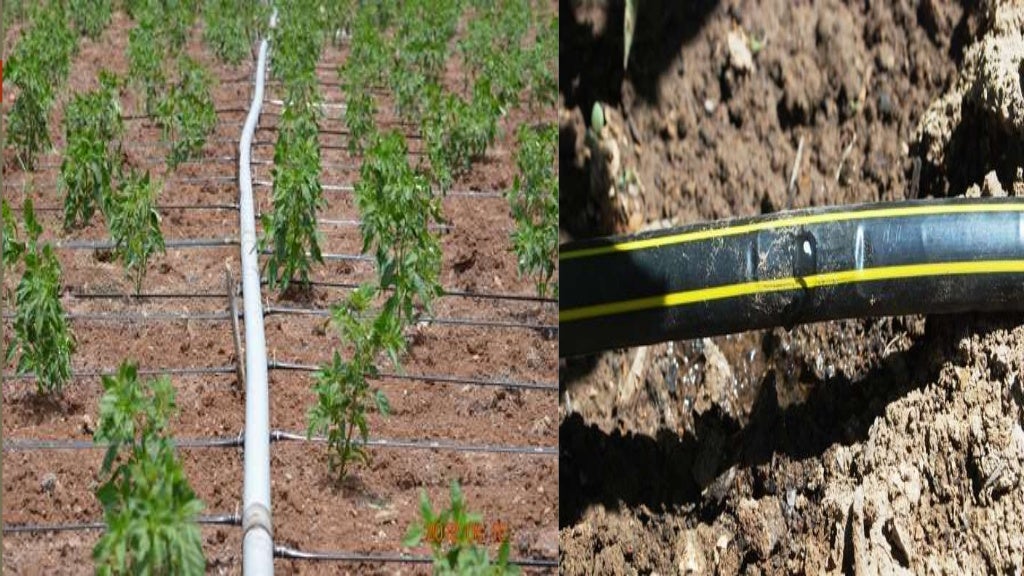 ppt-on-drip-irrigation