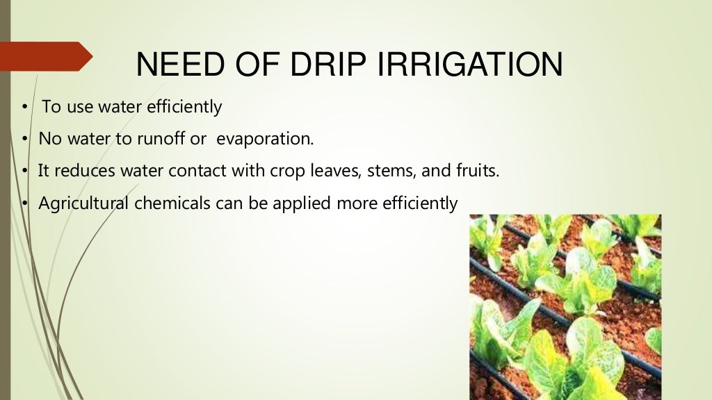 ppt on drip irrigation